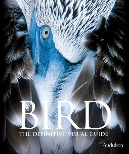 Bird Cover