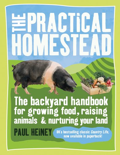 The practical homestead Cover