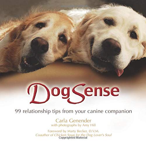 DogSense Cover