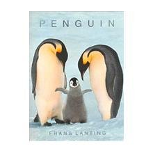 Penguin Poster