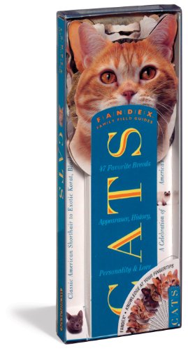 Cats Cover