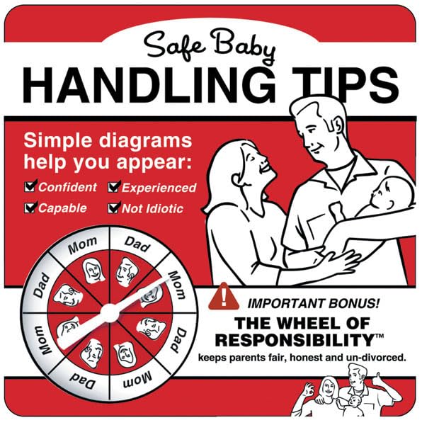 Safe Baby Handling Tips Cover