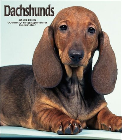 Dachshunds Weekly 2003 Calendar Cover
