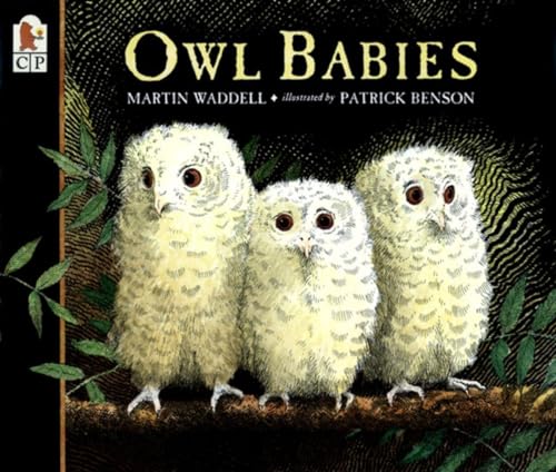 Owl Babies Poster
