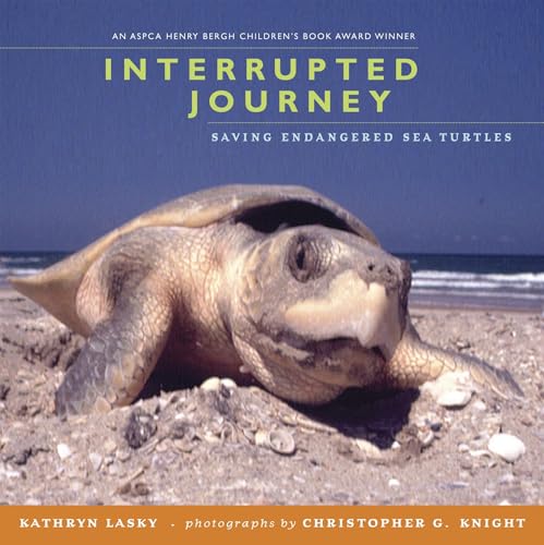 Interrupted journey Cover