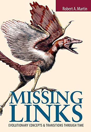 Missing links Cover