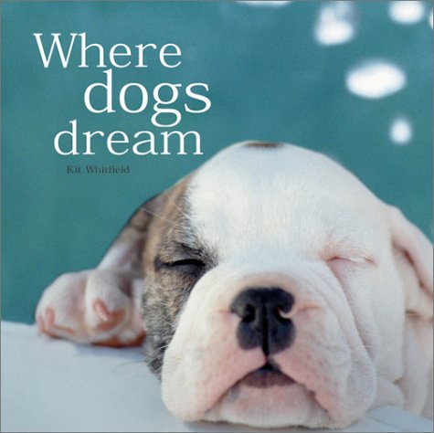 Where Dogs Dream Cover