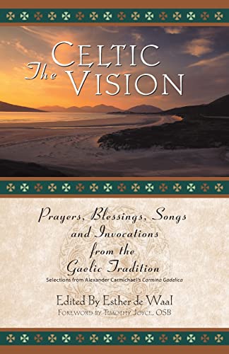 The Celtic vision Cover