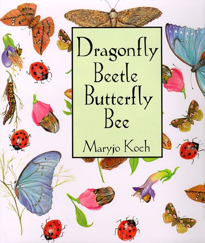 Dragonfly beetle butterfly bee Cover