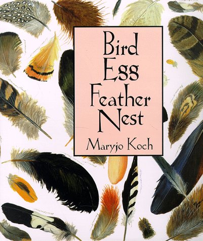 Bird egg feather nest Cover