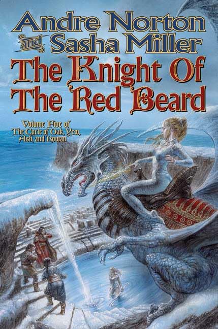 The knight of the red beard Cover