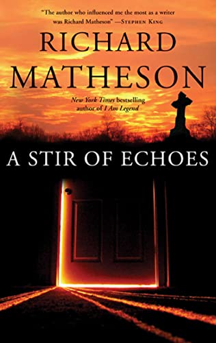 A stir of echoes Cover