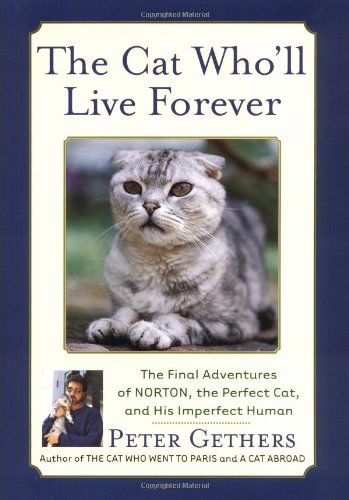The cat who'll live forever Cover