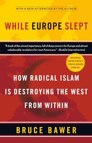 While Europe Slept Cover