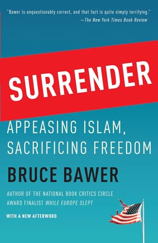Surrender Cover