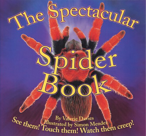 The spectacular spider book Cover