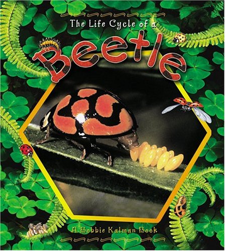 The Life Cycle of a Beetle (Life Cycle) Cover