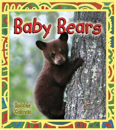 Baby bears Cover