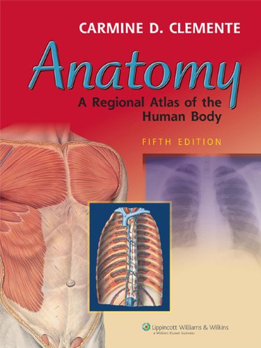 Anatomy Cover