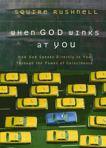 When God Winks at You Cover