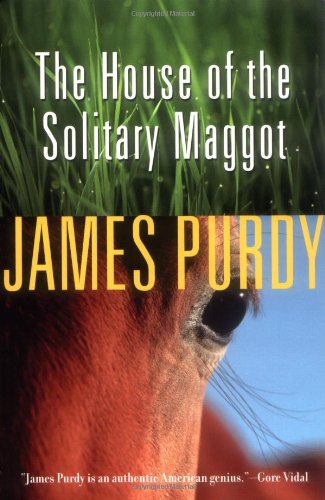 The House of the Solitary Maggot Cover