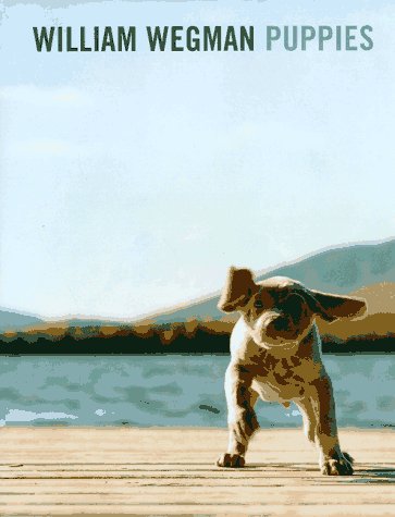 Attempted cover for Book ID: 0786803207