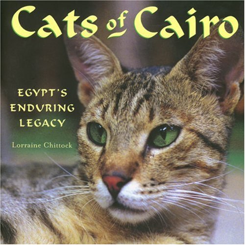 Cats of Cairo Cover
