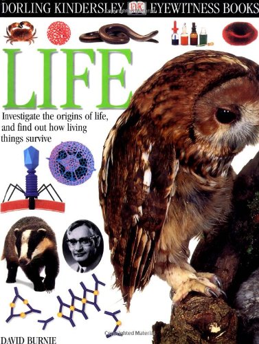 Life Cover