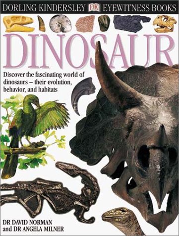 Dinosaur Cover