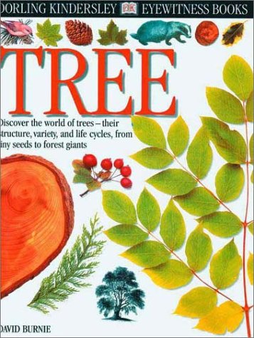 Eyewitness Cover