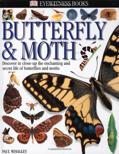 Butterfly & moth Cover