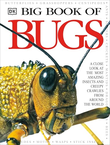 DK big book of bugs Cover