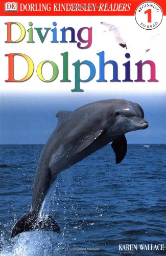 Diving Dolphin Cover