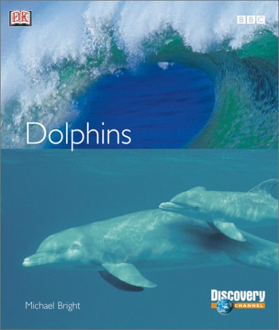Dolphins Cover