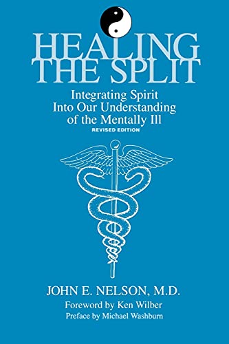 Healing the split Cover