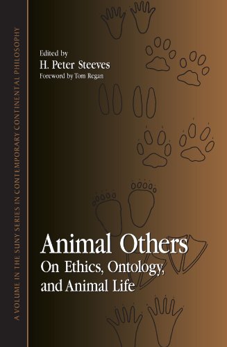 Animal Others Cover