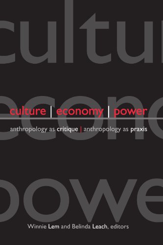 Culture, Economy, Power Cover
