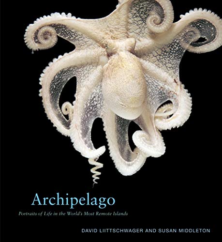 Archipelago Cover