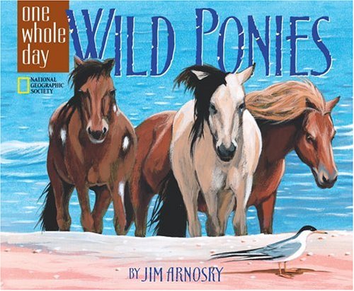 Wild ponies Cover