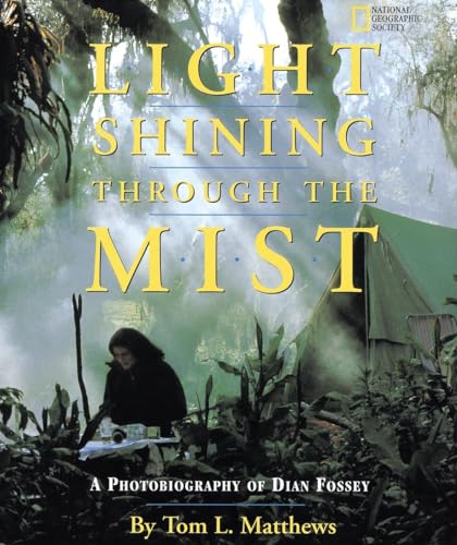 Light shining through the mist Cover