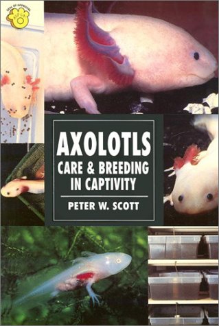 Axolotls Cover