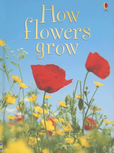 How Flowers Grow Cover