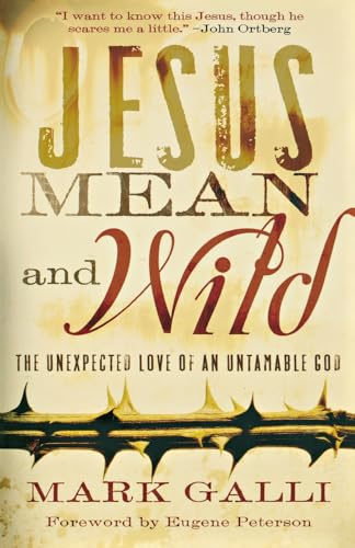 Jesus Mean and Wild Cover