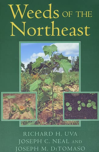 Weeds of the Northeast Cover