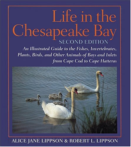 Life in the Chesapeake Bay Cover