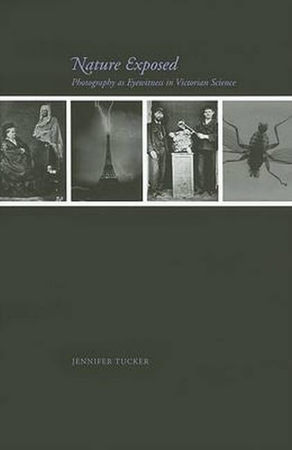 Attempted cover for Book ID: 0801879914