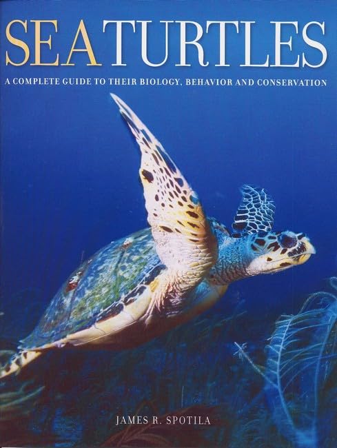 Sea Turtles Cover