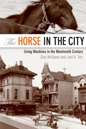 The Horse in the City Cover