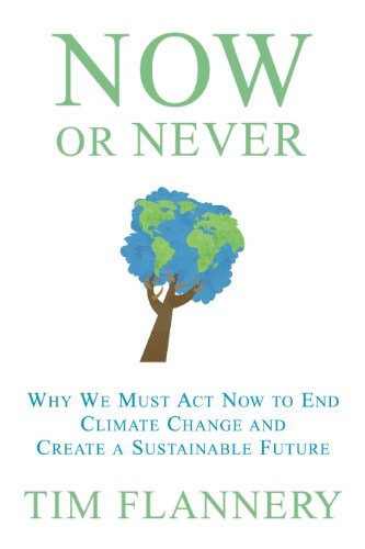 Now or never Cover