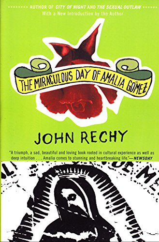 The miraculous day of Amalia Gómez Cover
